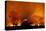 Grass Fire at Night in Pantanal, Brazil-Bence Mate-Premier Image Canvas