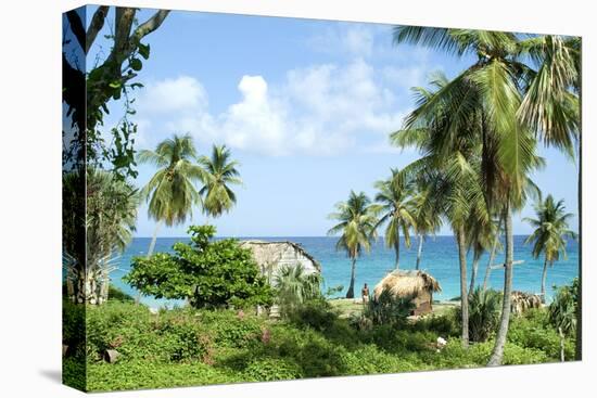 Grass Huts, Baoruca, Dominican Republic-Natalie Tepper-Stretched Canvas