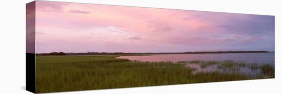 Grass on the Beach, Fernandina Beach, Amelia Island, Florida, USA-null-Premier Image Canvas