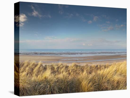 Grass on the Beach, Holme Dunes, Norfolk, England-null-Premier Image Canvas