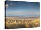 Grass on the Beach, Holme Dunes, Norfolk, England-null-Premier Image Canvas