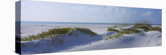 Grass on the Beach, Lido Beach, Lido Key, Sarasota, Florida, USA-null-Premier Image Canvas