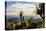 Grass Trees on Mt Kiangarow, Bunya Mountains National Park, Queensland, Australia-Mark A Johnson-Premier Image Canvas