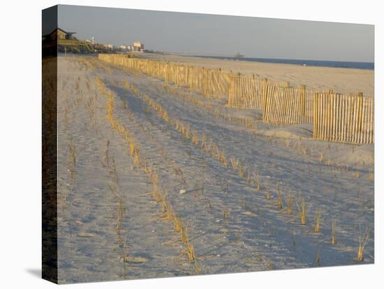 Grasses and Fences on Beach, Folly Island, Charleston, South Carolina, USA-Corey Hilz-Premier Image Canvas