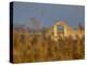 Grasses surrounding Corral Bullring, Camargue, France-Lisa S. Engelbrecht-Premier Image Canvas