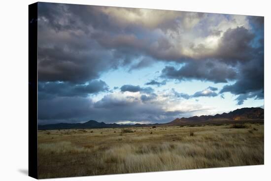 Grasslands Near Portal-Bob Gibbons-Premier Image Canvas