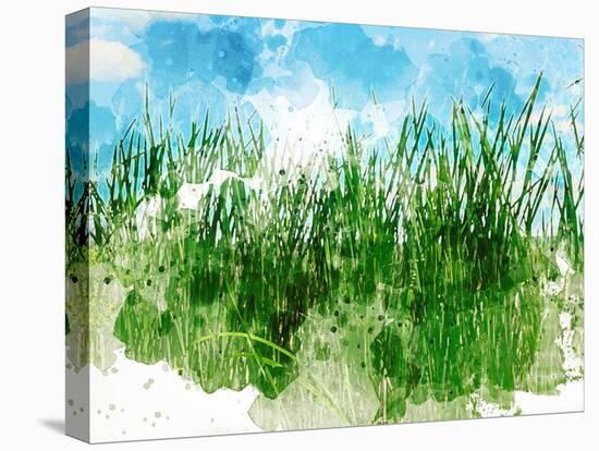 Grassy Bank-Chamira Young-Stretched Canvas