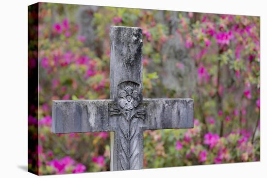 Grave stones and springtime bloom of azaleas in a Cemetery, Savannah, Georgia-Darrell Gulin-Premier Image Canvas