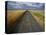 Gravel Road Passing Through Wheat Field-Darrell Gulin-Premier Image Canvas