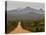 Gravel Road, Stirling Range, Stirling Range National Park, Western Australia, Australia, Pacific-Jochen Schlenker-Premier Image Canvas