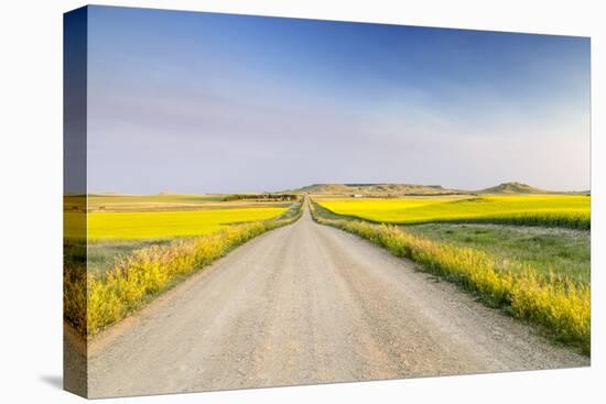 Gravel Road to West Rainy Butte, Canola Near New England, North Dakota, USA-Chuck Haney-Premier Image Canvas