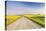 Gravel Road to West Rainy Butte, Canola Near New England, North Dakota, USA-Chuck Haney-Premier Image Canvas