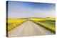 Gravel Road to West Rainy Butte, Canola Near New England, North Dakota, USA-Chuck Haney-Premier Image Canvas