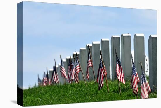 Gravestones Decorated with U.S. Flags to Commemorate Memorial Day at the Arlington National Cemeter-1photo-Premier Image Canvas