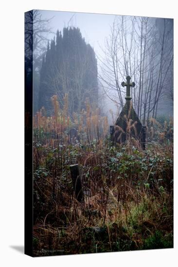 Graveyard in England in Winter-David Baker-Premier Image Canvas