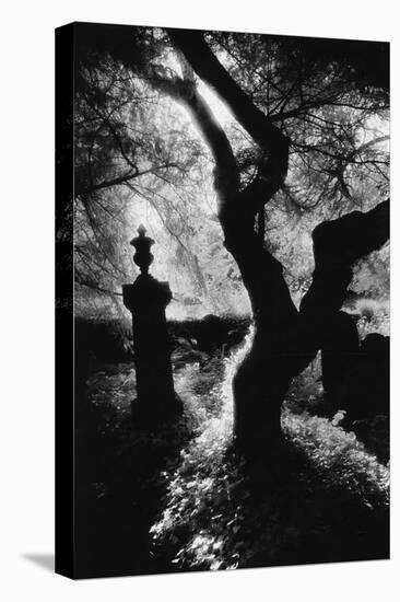 Graveyard, Nevern, Pembrokeshire, Wales-Simon Marsden-Premier Image Canvas