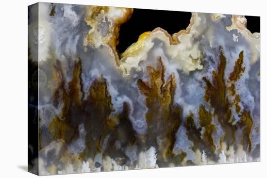 Graveyard Point Plume Agate, Oregon-Darrell Gulin-Premier Image Canvas