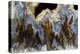 Graveyard Point Plume Agate, Oregon-Darrell Gulin-Premier Image Canvas