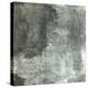 Gray Abstract II-Elena Ray-Stretched Canvas