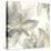 Gray and Silver Flowers I-Chris Paschke-Stretched Canvas