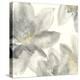 Gray and Silver Flowers I-Chris Paschke-Stretched Canvas