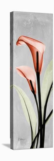 Gray Calla Lily 2-Albert Koetsier-Stretched Canvas