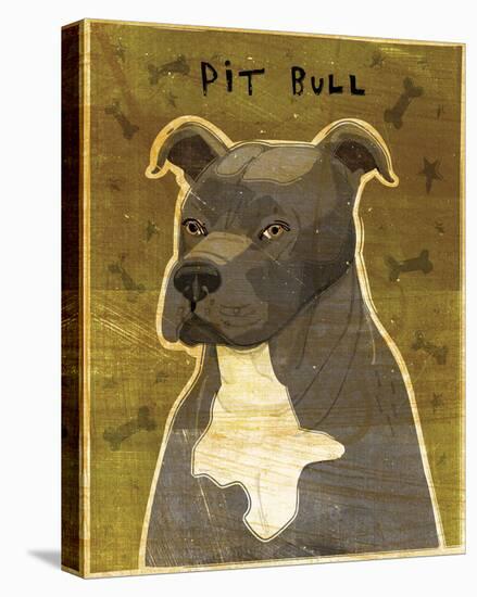 Gray Pit Bull-John Golden-Stretched Canvas