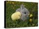 Gray Rabbit Bunny Baby and Yellow Chick Best Friends-Richard Peterson-Premier Image Canvas