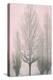 Gray Trees on Pink Panel II-Kate Bennett-Stretched Canvas