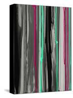 Gray with a Pop of Fun A-Tracy Hiner-Premier Image Canvas