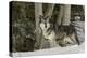Gray Wolf, Montana-Adam Jones-Premier Image Canvas