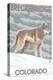 Gray Wolf Standing - Breckenridge, Colorado-Lantern Press-Stretched Canvas