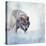 Gray Wolf Walking on the Snow-Svetlana Foote-Premier Image Canvas