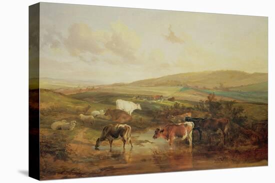 Grazing Animals-Thomas Sidney Cooper-Premier Image Canvas