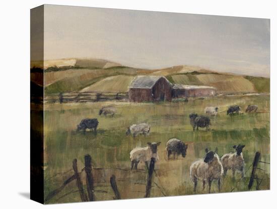 Grazing Sheep II-Ethan Harper-Stretched Canvas