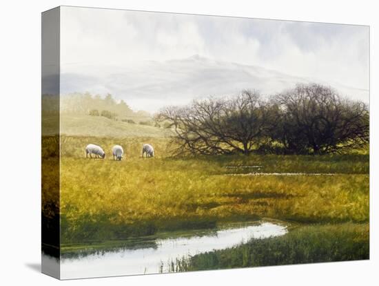 Grazing Sheep-Miguel Dominguez-Premier Image Canvas