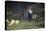 Grazing-Francesco Burlazzi-Premier Image Canvas