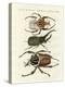 Great and Rare Foreign Beetles-null-Premier Image Canvas