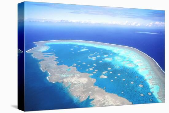 Great Barrier Reef Aerial View-null-Premier Image Canvas