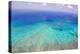 Great Barrier Reef, Cairns Australia, Seen from Above-dzain-Premier Image Canvas