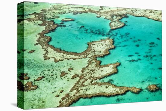 Great Barrier Reef III-Larry Malvin-Premier Image Canvas