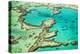 Great Barrier Reef III-Larry Malvin-Premier Image Canvas