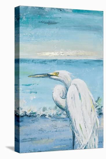Great Blue Egret II-Patricia Pinto-Stretched Canvas
