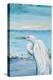 Great Blue Egret II-Patricia Pinto-Stretched Canvas