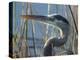 Great Blue Heron, Ardea Herodias, Viera Wetlands, Florida, Usa-Maresa Pryor-Premier Image Canvas