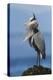 Great Blue Heron, Attempting to Preen on a Windy Day-Ken Archer-Premier Image Canvas