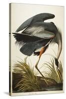 Great Blue Heron-John James Audubon-Premier Image Canvas