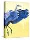 Great Blue Heron-Max Hayslette-Premier Image Canvas