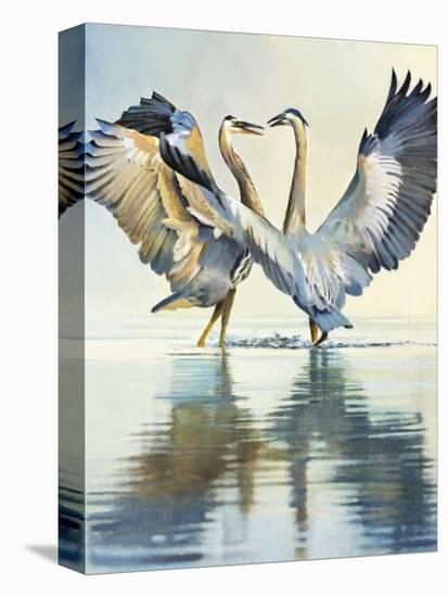 Great Blue Herons-Max Hayslette-Premier Image Canvas