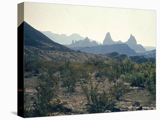 Great Chihuahua Desert with Chisos Mountains and Mt Amory at Big Bend National Park-Ralph Crane-Premier Image Canvas